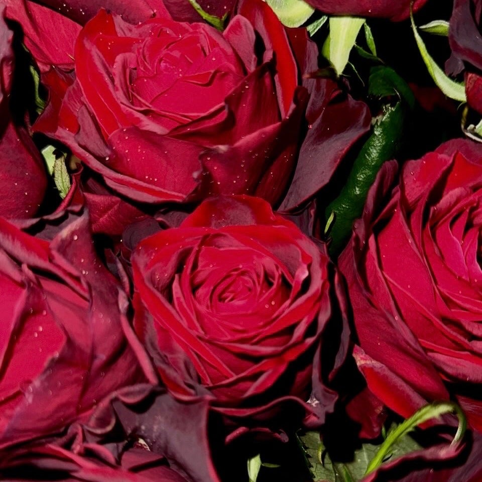 ヒプノティックプワゾン オードトワレ/Dior/香水(レディース)を使ったクチコミ(2枚目)