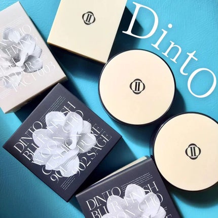 ブラーフィニッシュ雲楚クッション/Dinto/クッションファンデーションを使ったクチコミ(2枚目)