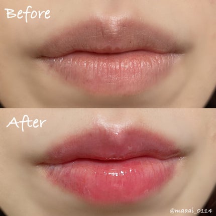 HOTOMI リッププランパー/HOTOMI/リッププランパーを使ったクチコミ(3枚目)