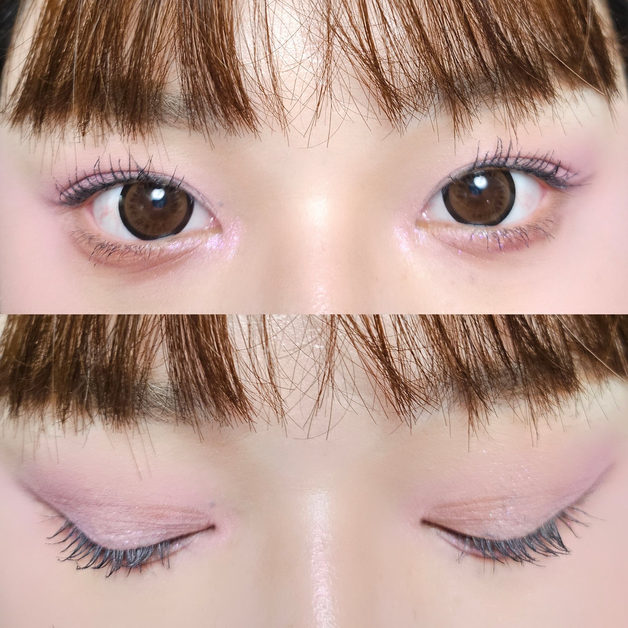 ラッシュボーン ブラックファイバーイン/MAJOLICA MAJORCA/マスカラ下地を使ったクチコミ（2枚目）