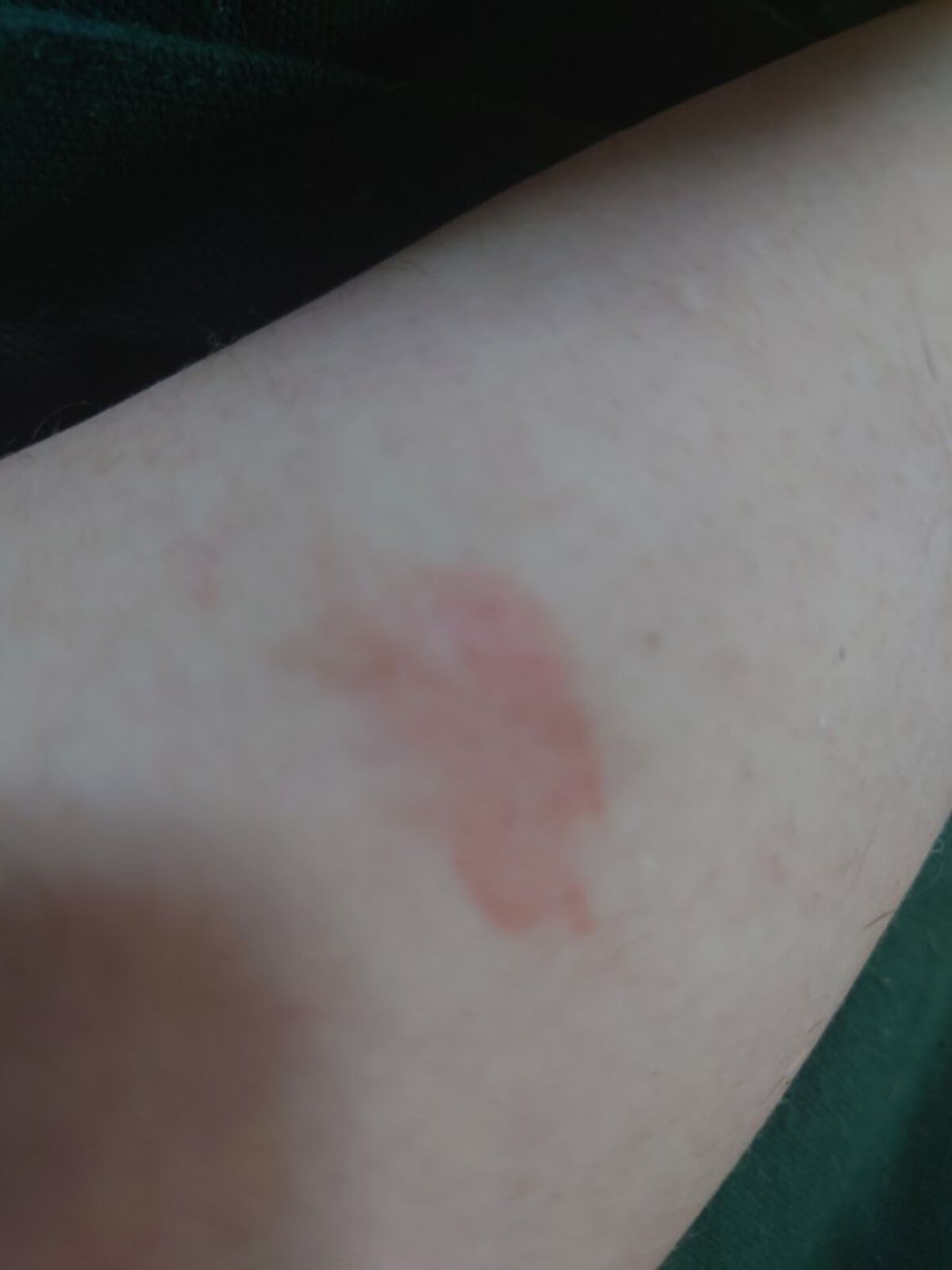 リキッドティントリップ/パラドゥ/リップティントを使ったクチコミ（3枚目）