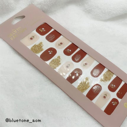 ネイルフィット ジェルネイルシール ちゅるんドライフラワー/GELATO FACTORY/ネイルシールの画像