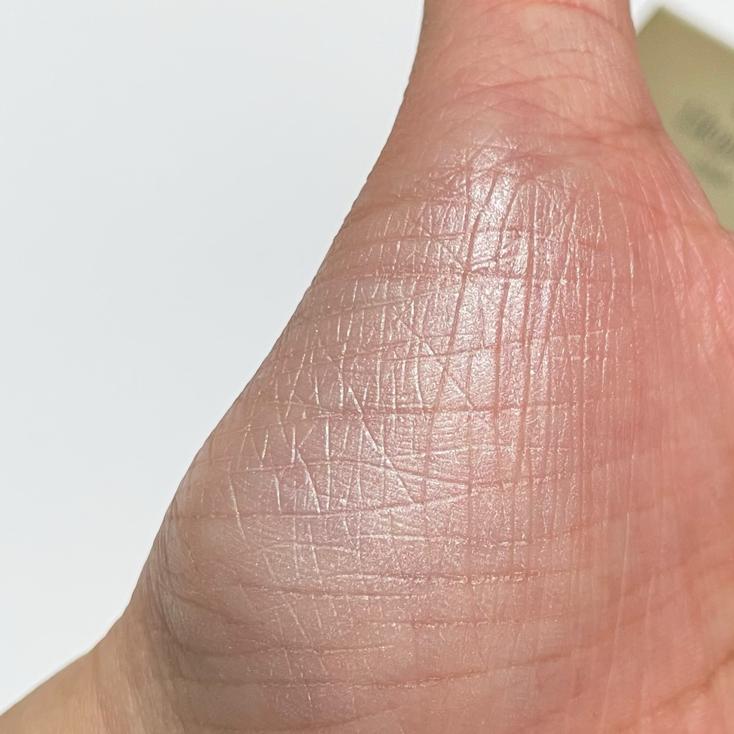 スリーク フェイス N/Elégance/ジェル・クリームチークを使ったクチコミ（3枚目）