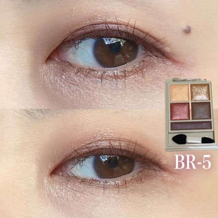 パノラマデザイン アイパレット/Visée/アイシャドウパレットを使ったクチコミ(10枚目)