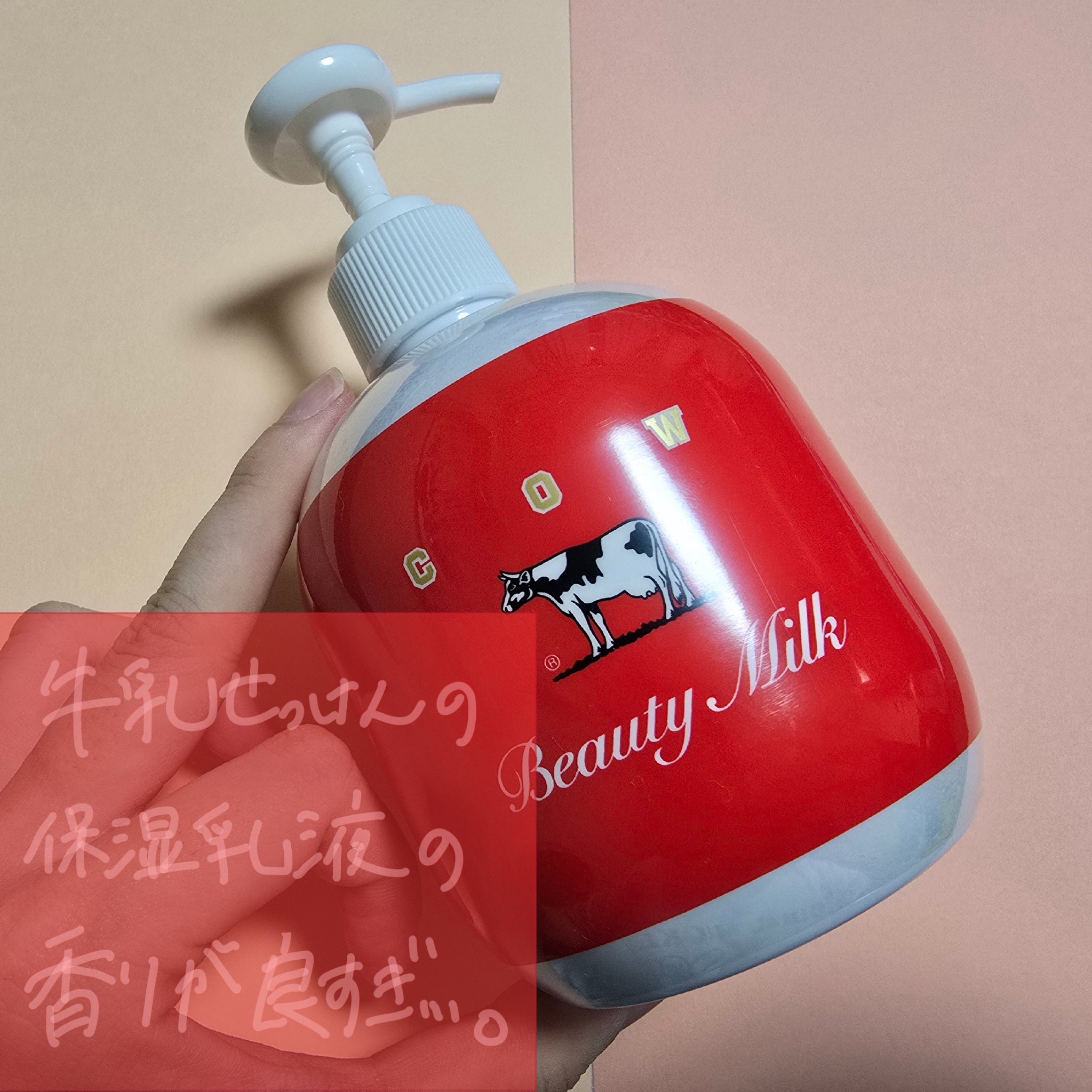 限定発売！あの有名な牛乳石けんのブランドが送る香り最高マルチに使える乳液なんです✨

前回までの投稿に👤📎❤️💬ありがとうございます！

笹かまです🧁

今回は赤箱のカウブランドが出してる乳液をご紹介します🍒

🌟カウブランド赤