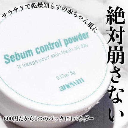 アニューム セバム コントロール パウダー/saat insight/ルースパウダーを使ったクチコミ(1枚目)