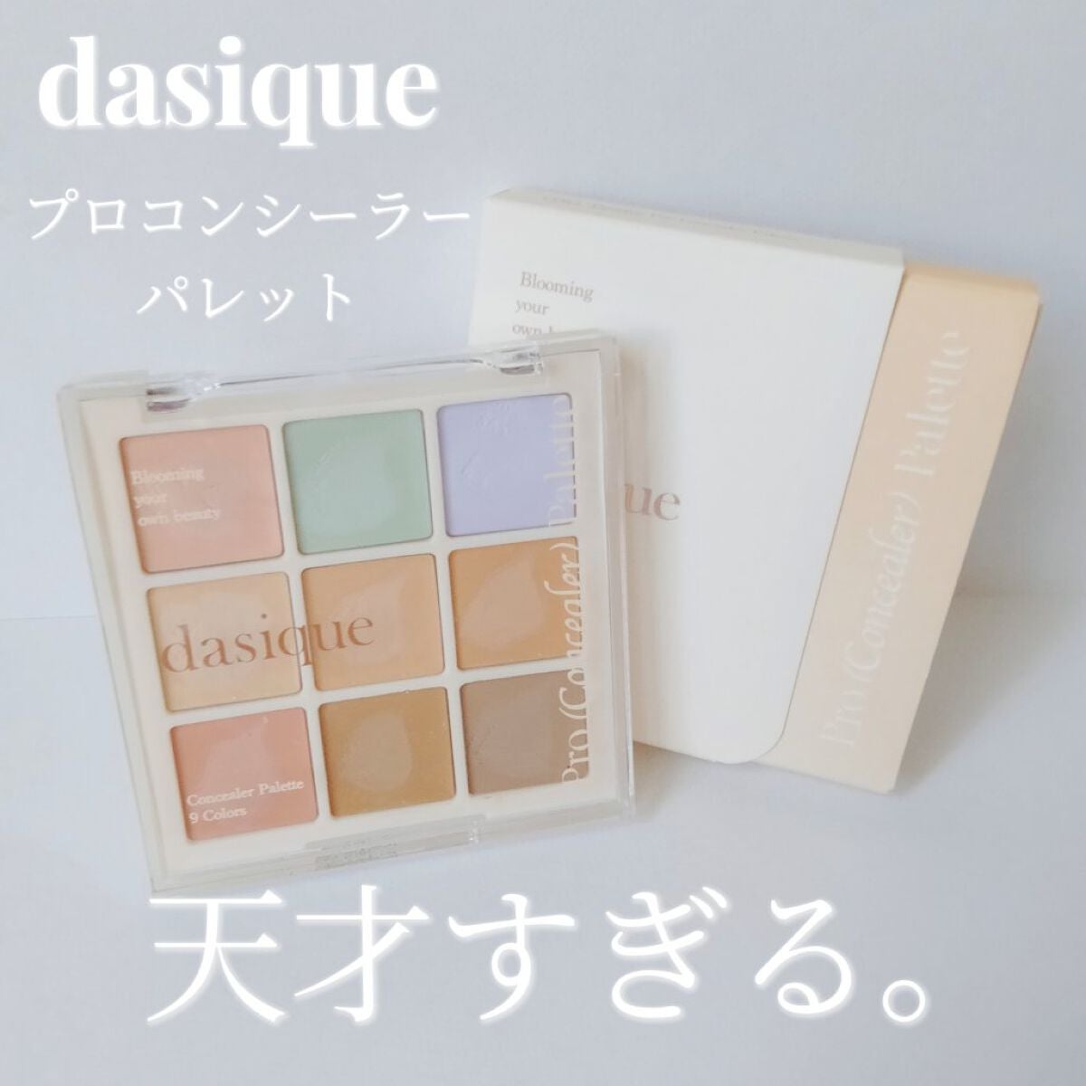 プロコンシーラーパレット/dasique/パレットコンシーラーを使ったクチコミ(1枚目)