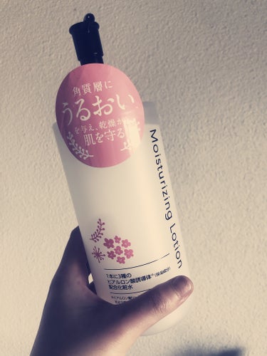 Moisturizing Lotion 化粧水 税込547円
オードムーゲ 薬用ローション

近くのドラックストアに寄り道して来たので購入しました。化粧水と拭き取り化粧水です！

Moisturizin