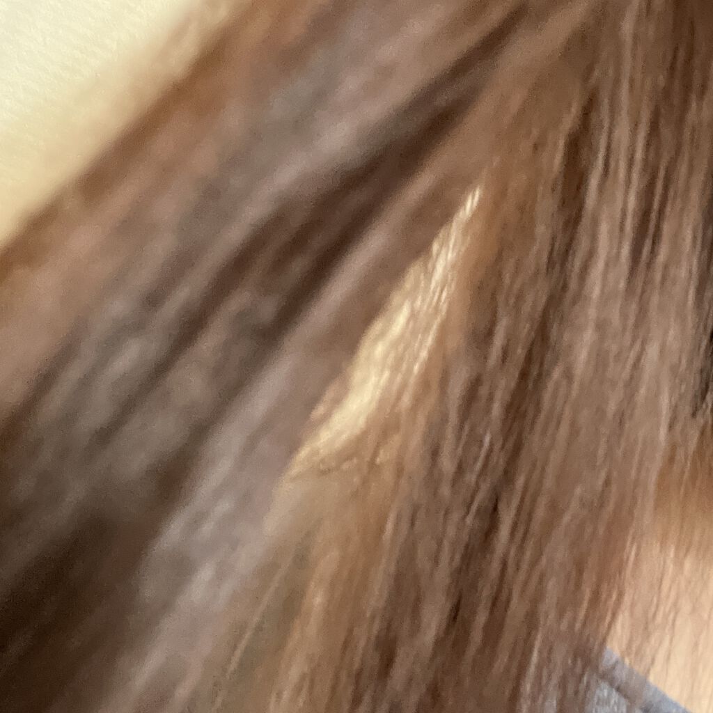 MASUGU シャンプー／トリートメント/STYLEE/市販シャンプーを使ったクチコミ（1枚目）