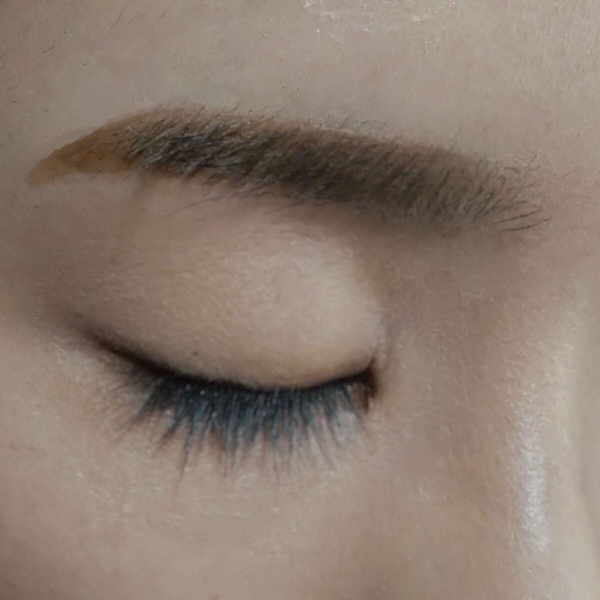 ラスティングデザインアイブロウW(スクエア)限定セット/KATE/パウダーアイブロウを使ったクチコミ(1枚目)