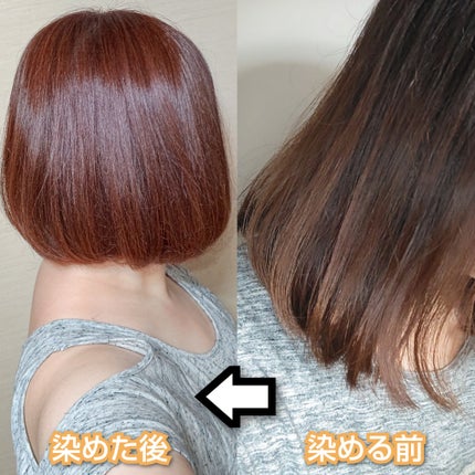 ホイップヘアカラー/ビューティラボ/ヘアカラーを使ったクチコミ(2枚目)