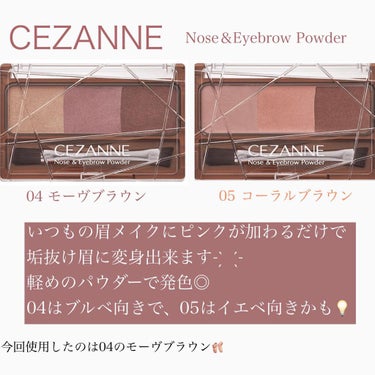 ノーズ＆アイブロウパウダー/CEZANNE/パウダーアイブロウを使ったクチコミ（2枚目）