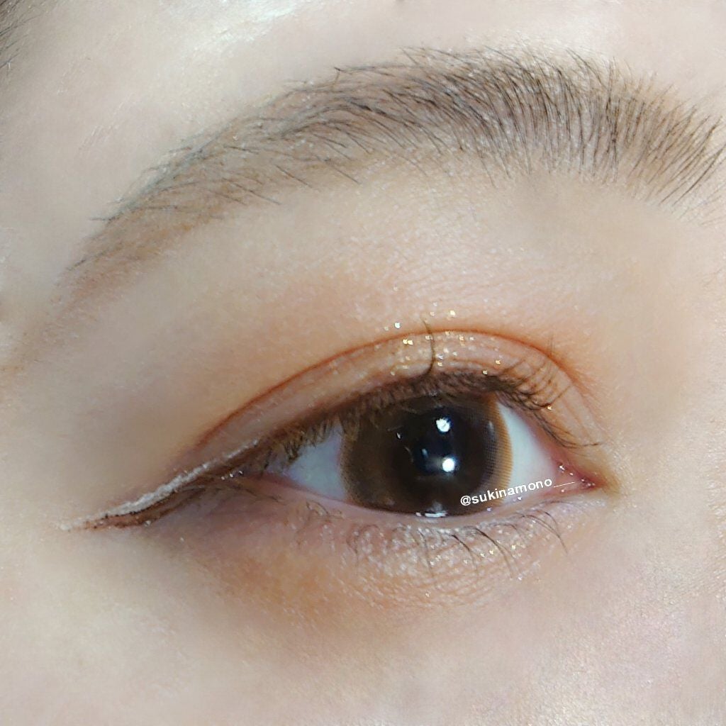 エクスプローラ12色 動物アイシャドウパレット/PERFECT DIARY/アイシャドウパレットを使ったクチコミ(2枚目)