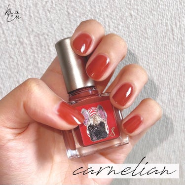  nail S(ネイルエス)  ネイルエスのクチコミ「ネイルエス
carnelian

ーーーーーーーーーー

今のネイルは赤みブラウンにゴールドラ.....」（1枚目）