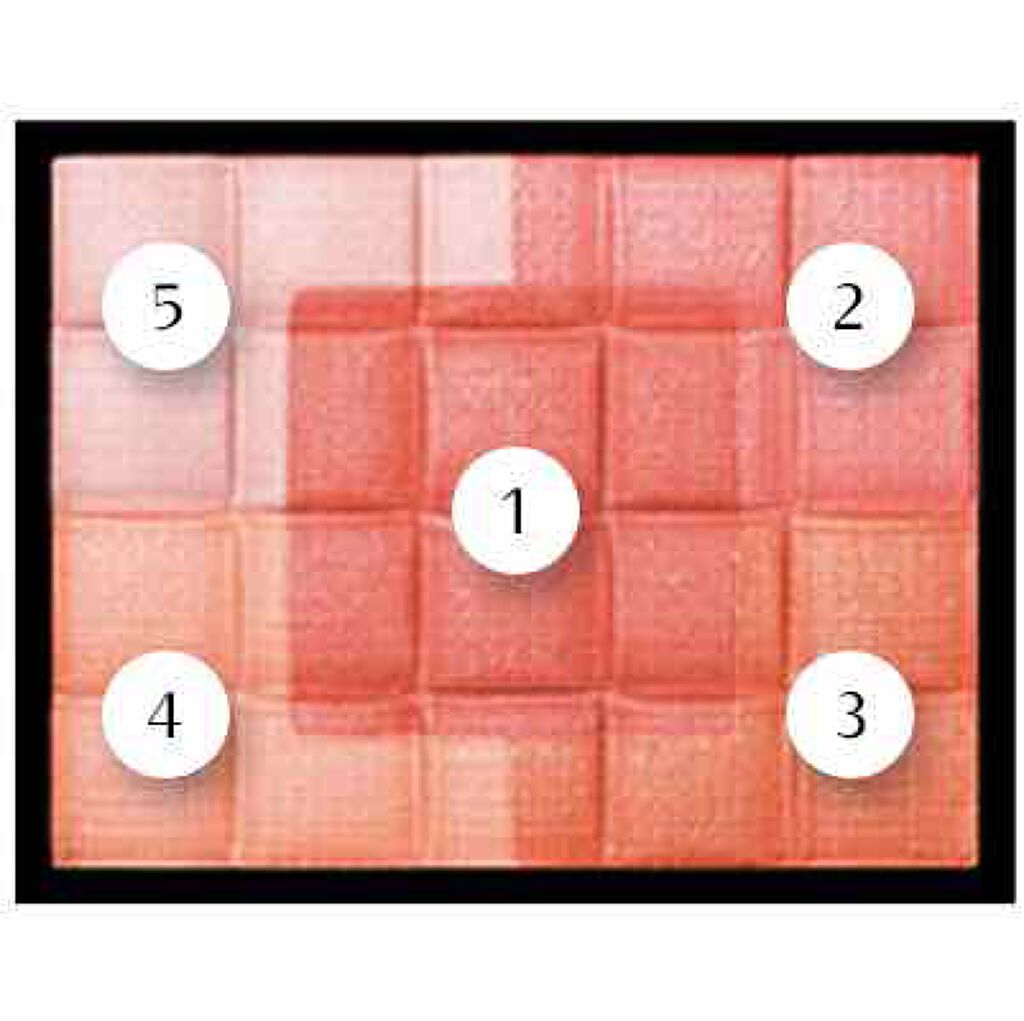 ドラマティックムードヴェール/マキアージュ/パウダーチークを使ったクチコミ(2枚目)