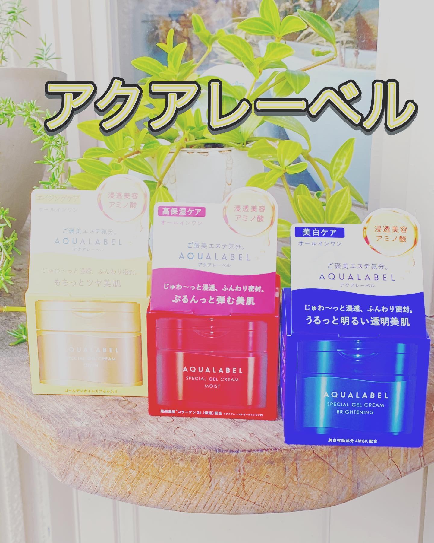 スペシャルジェルクリームN （モイスト）/アクアレーベル/オールインワン化粧品を使ったクチコミ（1枚目）