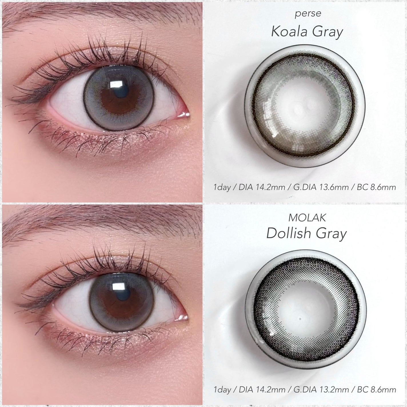 MOLAK 1day/MOLAK/ワンデー(1DAY)カラコンを使ったクチコミ(5枚目)