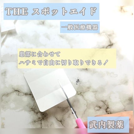 し・ほみん on LIPS 「武内製薬THEスポットエイド(一般医療機器)武内製薬様より提供..」(4枚目)