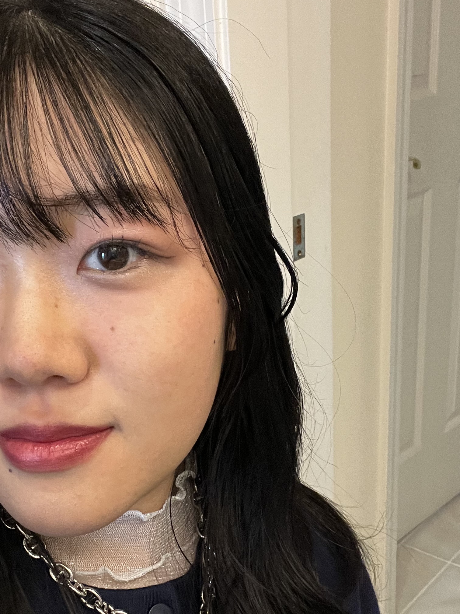 ルージュ アリュール ラック 79 エテルニテ/CHANEL/口紅を使ったクチコミ（2枚目）