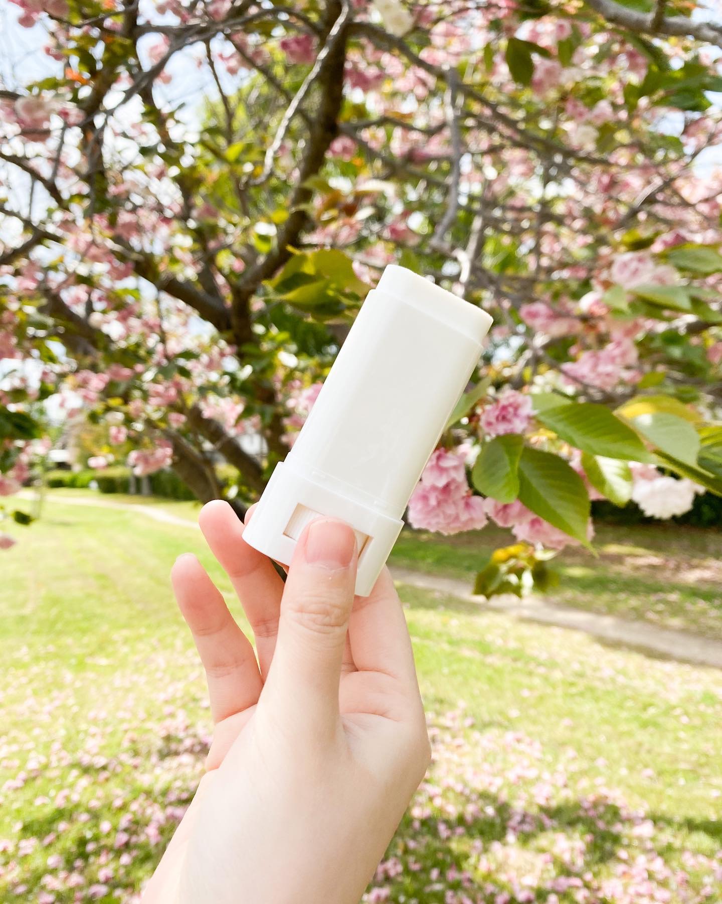 デイリー ソフト サンクスリーン スティック/innisfree/日焼け止め・UVケアを使ったクチコミ（2枚目）