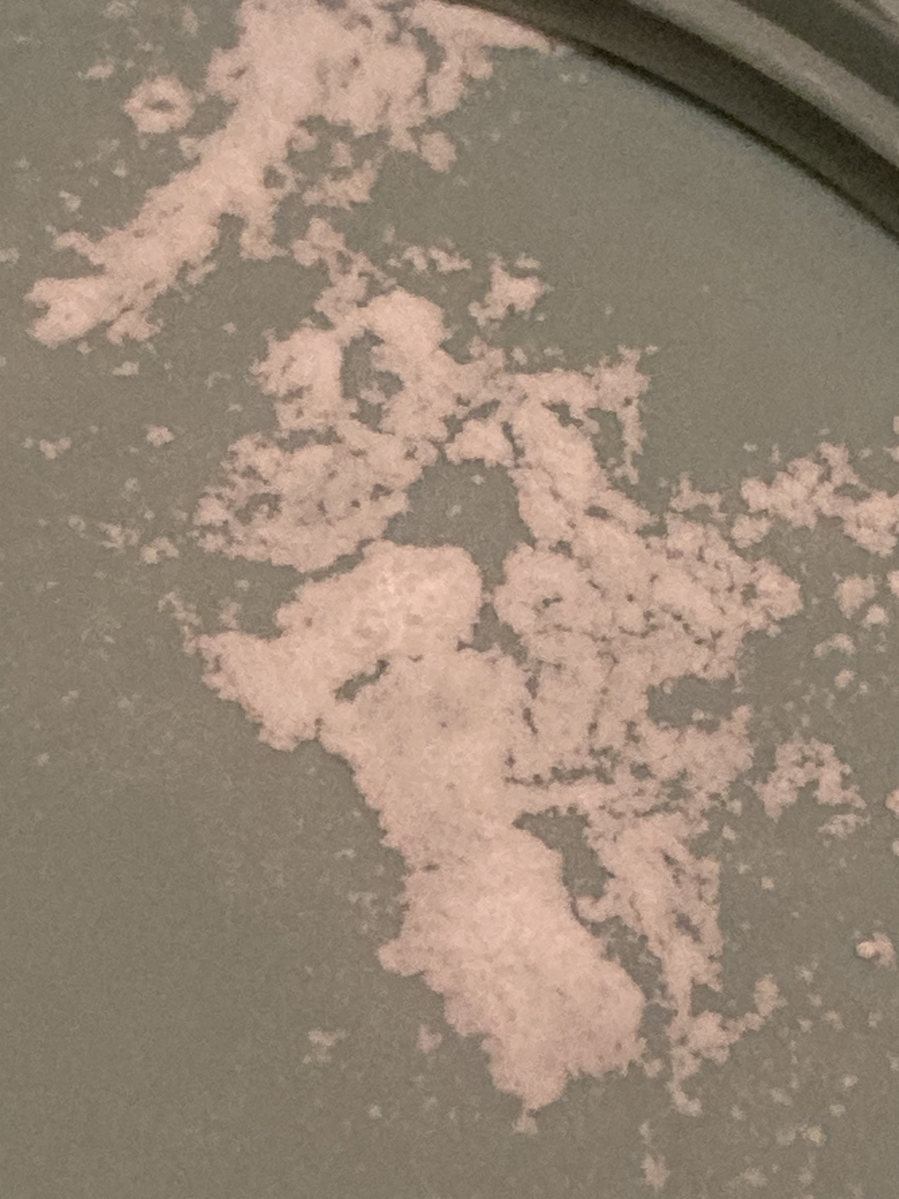 innisfree ノーセバム　ミネラルパウダー　Nのクチコミ「イニスフリーのパウダーって結局いいの？って悩んでる人へ！！


こんにちはーAYAMIです！今.....」（3枚目）