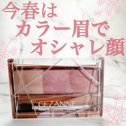 ノーズ&アイブロウパウダー/CEZANNE/パウダーアイブロウを使ったクチコミ(1枚目)