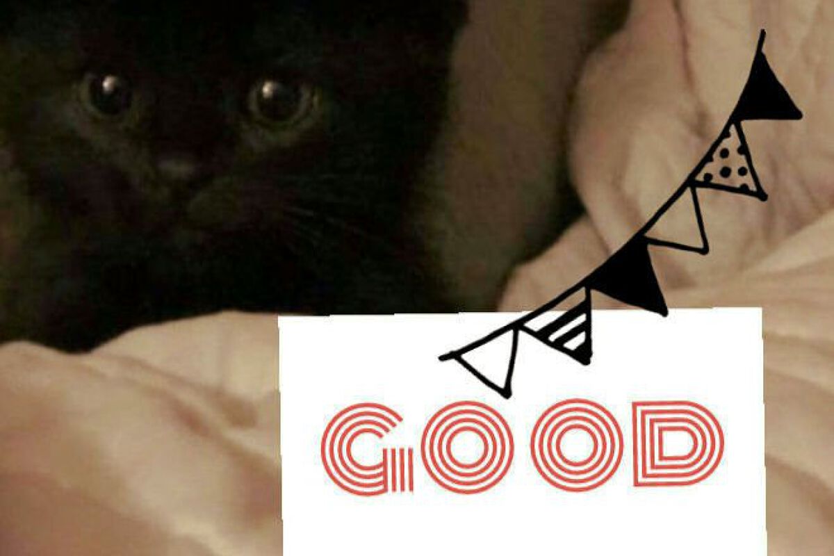 エージェンダー コンディショニング リキッド/A'GENDER/化粧水を使ったクチコミ(5枚目)