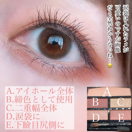 レ ベージュ パレット ルガール/CHANEL/アイシャドウパレットを使ったクチコミ(3枚目)