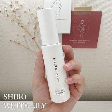 SHIRO　ホワイトリリー オードパルファン　40ml　(¥4180)


言わずと知れた名品、shiroの香水


香水初心者はとりあえずshiroにしとけば間違いありません✨

そのくらい万人受けす