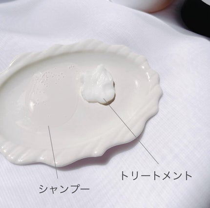 ウォンジョンヨ リペアシャンプー モイスト/リペアトリートメント モイスト/Wonjungyo/市販シャンプーを使ったクチコミ(2枚目)