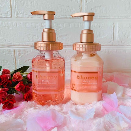 &honey Melty モイストリペア シャンプー1.0/モイストリペア ヘアトリートメント2.0/&honey/市販シャンプーを使ったクチコミ(1枚目)