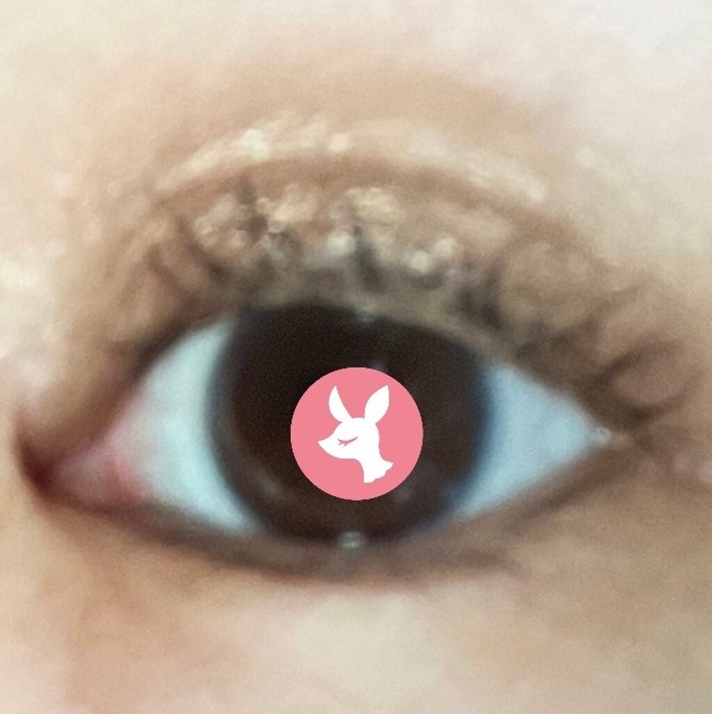 ラッシュエクステ ラスティングカール ウォータープルーフ/MAYBELLINE NEW YORK/マスカラを使ったクチコミ(4枚目)