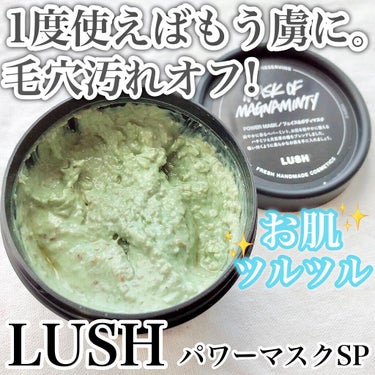 ラッシュ パワーマスク SPのクチコミ「毛穴の黒ずみケアにはこれ🔥!!LUSHで必ず買う私の必須アイテム‼️1度で実感できた長年愛用の.....」（1枚目）