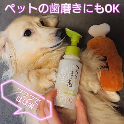 フフフではは歯/フフフではは歯/歯磨き粉を使ったクチコミ(1枚目)