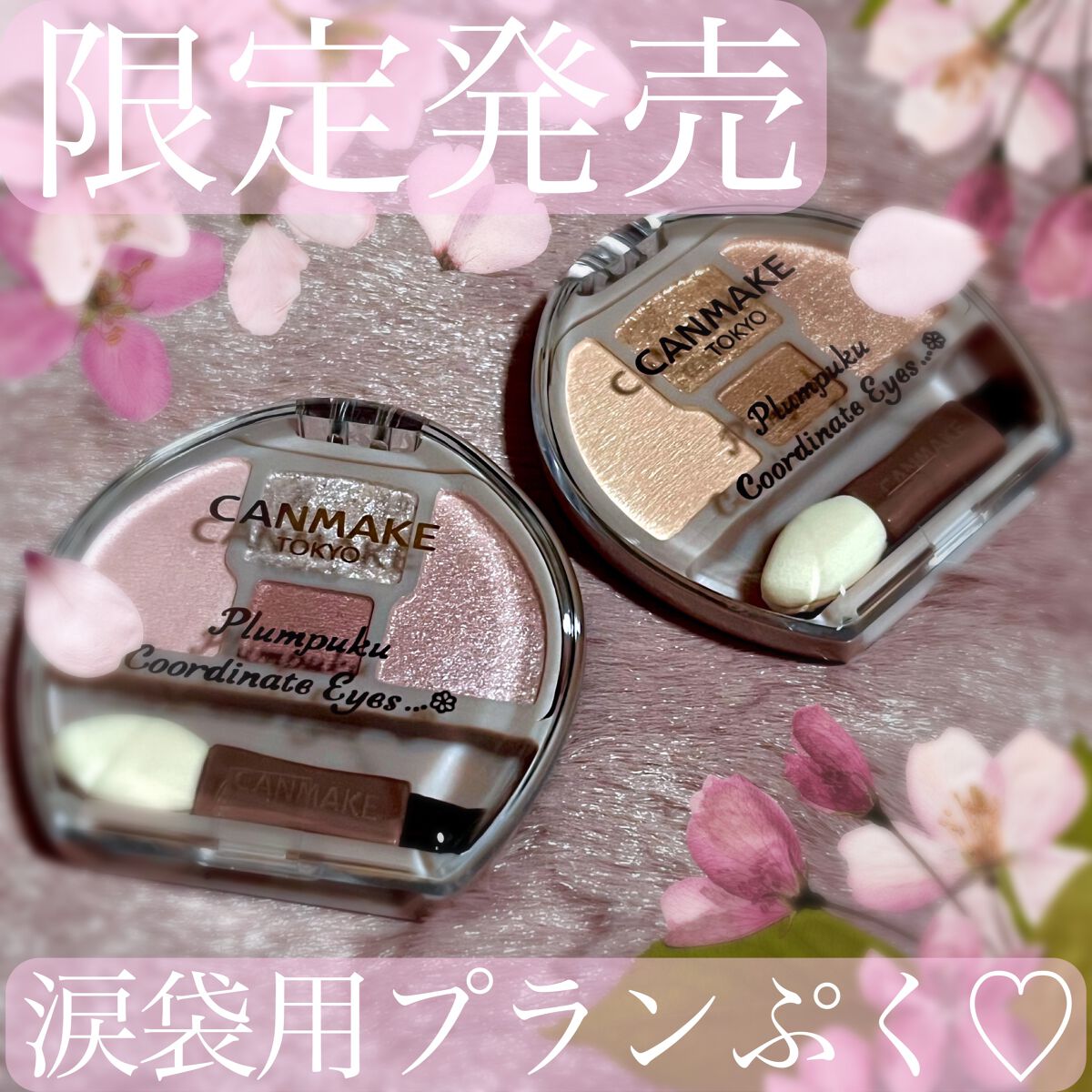 プランぷくコーデアイズ/キャンメイク/パウダーアイシャドウを使ったクチコミ(1枚目)