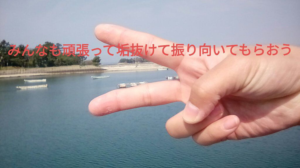 ハトムギ化粧水(ナチュリエ スキンコンディショナー R )/ナチュリエ/化粧水を使ったクチコミ（3枚目）