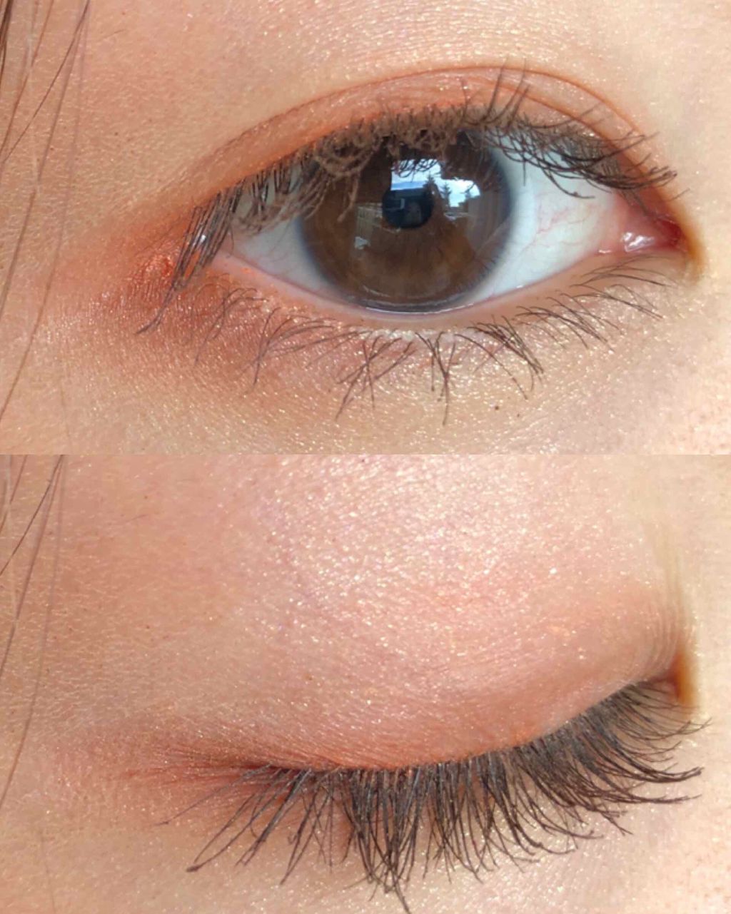 ローズ チーク カラー N/ANNA SUI/パウダーチークを使ったクチコミ（1枚目）