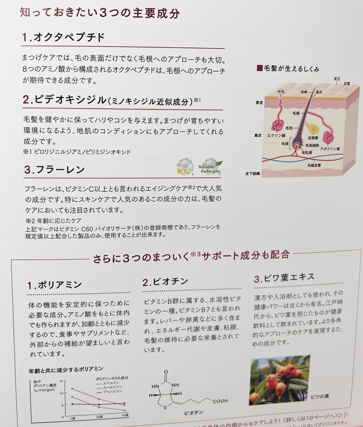 バンビウィンク プレシャス アイラッシュセラム/オルト/まつげ美容液を使ったクチコミ(4枚目)