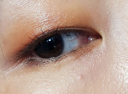 インフィニトリー パウダー マルチパレット/Celvoke/アイシャドウパレットを使ったクチコミ(2枚目)