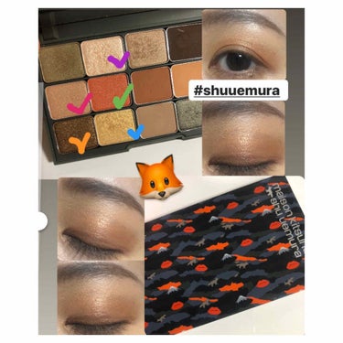 カモアイシャドーパレット/shu uemura/アイシャドウパレットを使ったクチコミ（1枚目）