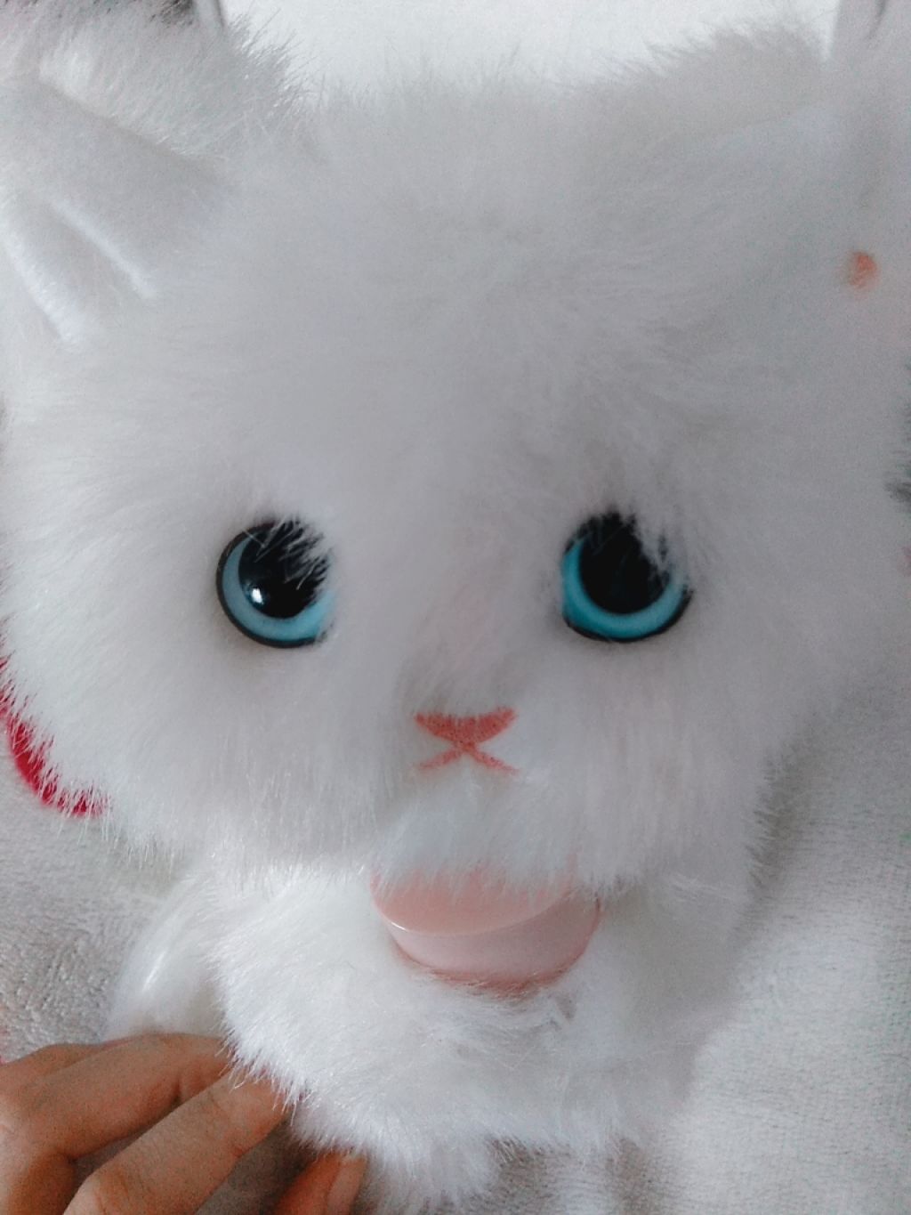 スノーホイップクリーム/SUGAO®/化粧下地を使ったクチコミ（1枚目）