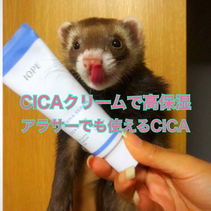ダーマリペア シカクリーム/IOPE/フェイスクリームを使ったクチコミ(1枚目)