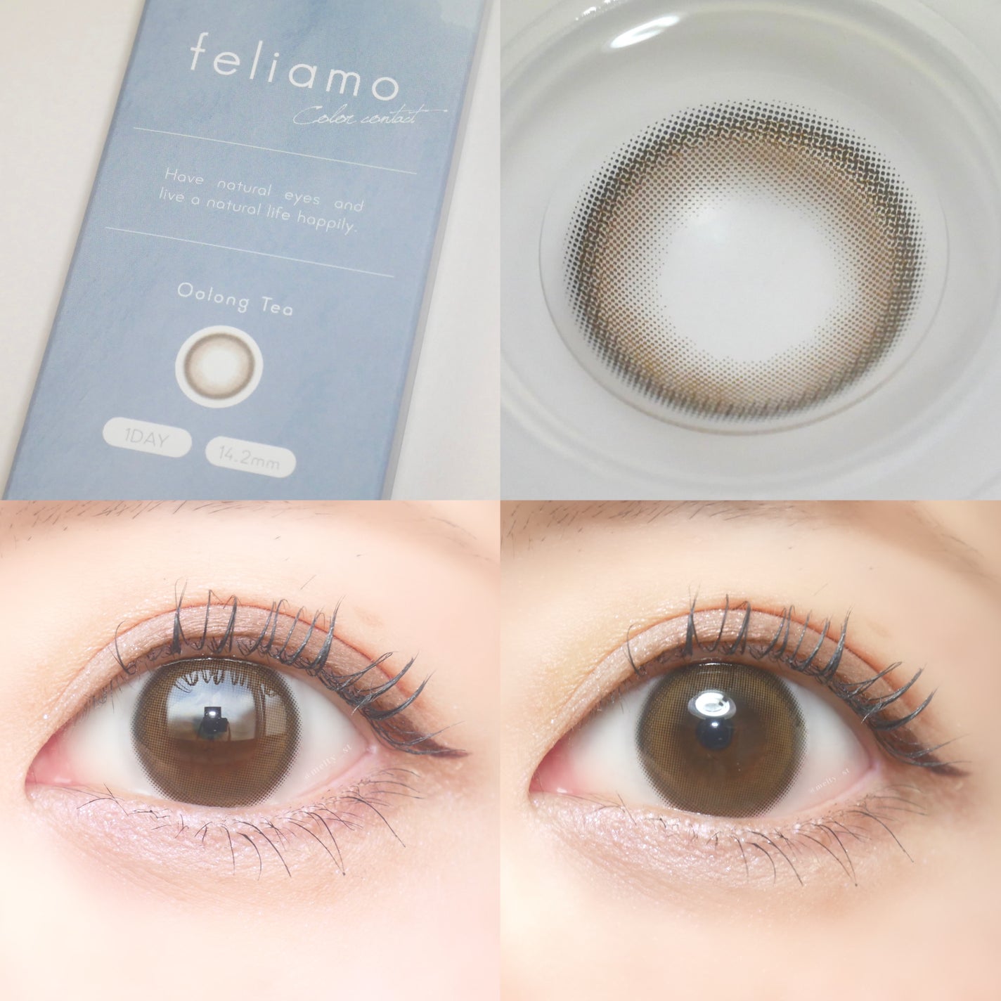 feliamo 1day/feliamo/ワンデー(1DAY)カラコンを使ったクチコミ(1枚目)