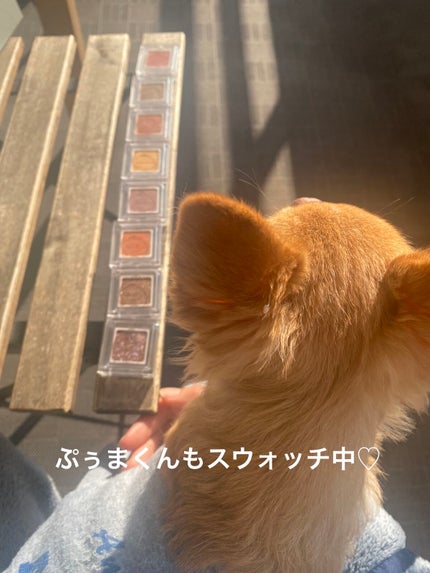 パラドゥ シングルアイシャドウ /パラドゥ/単色アイシャドウを使ったクチコミ(6枚目)