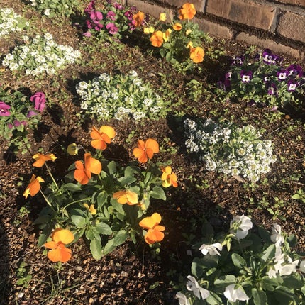 アイ カラー クォード/TOM FORD BEAUTY/アイシャドウパレットを使ったクチコミ(4枚目)