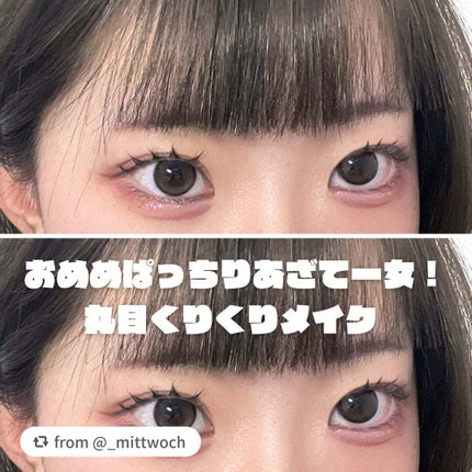 エクスプローラ12色 動物アイシャドウパレット/PERFECT DIARY/アイシャドウパレットを使ったクチコミ(1枚目)