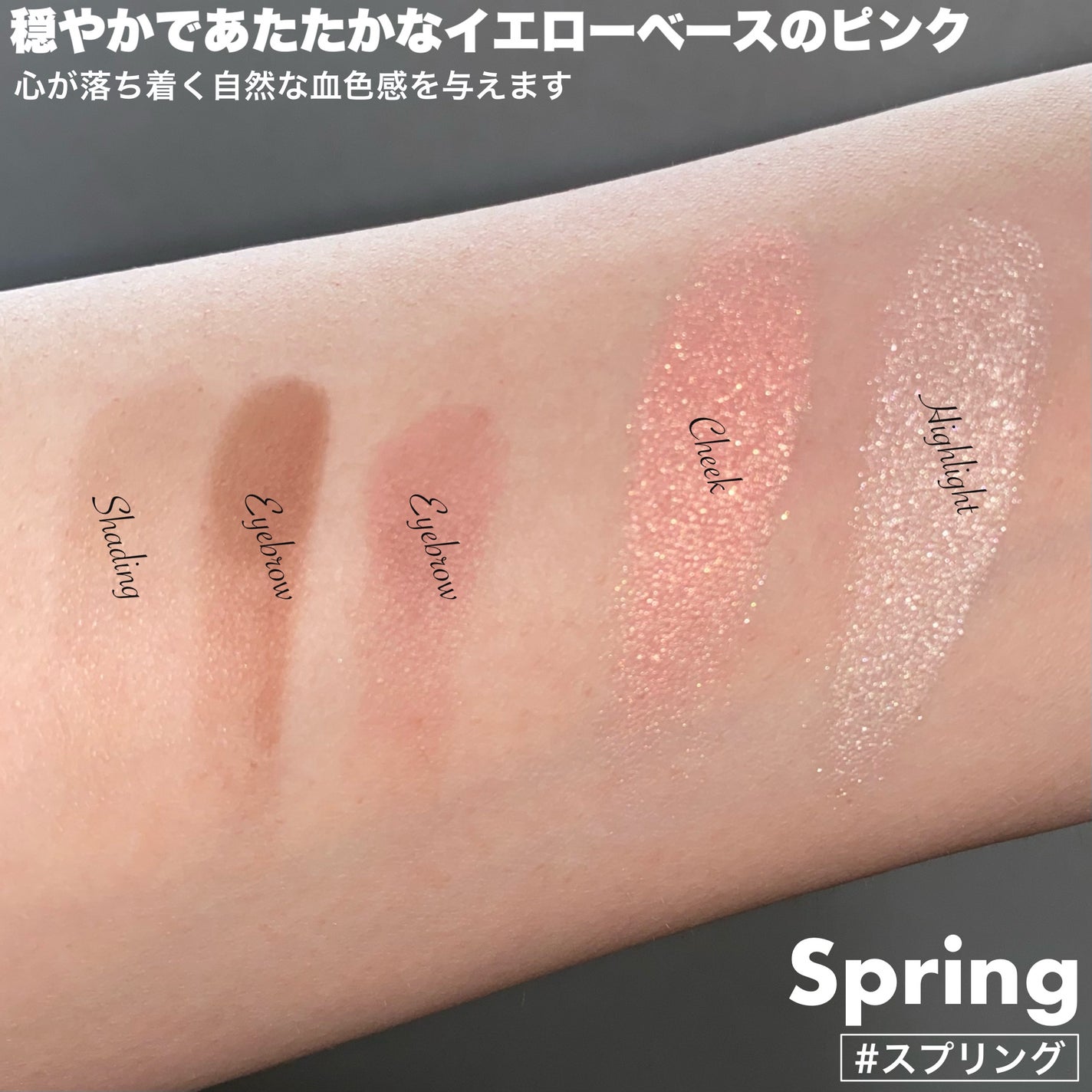 フィット my カラーパレット/STEIASUR(ステイアシュール)/マルチパレットを使ったクチコミ(5枚目)