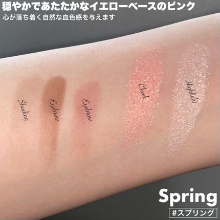 フィット my カラーパレット/STEIASUR(ステイアシュール)/マルチパレットを使ったクチコミ(5枚目)