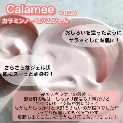 カラミー カラミンノーセバムローション/Calamee/化粧水を使ったクチコミ(3枚目)