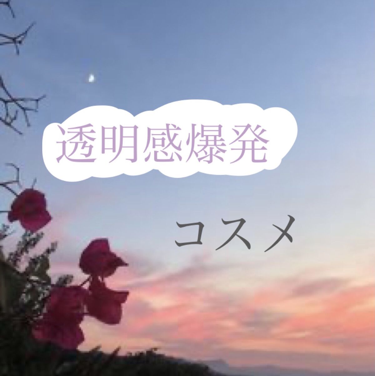 ベターザンアイズ ミルクシリーズ/rom&nd/アイシャドウパレットを使ったクチコミ（1枚目）